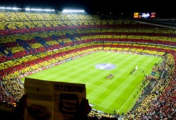 尼尔·巴特尔为袋鼠队防线增加了深度和稳定性