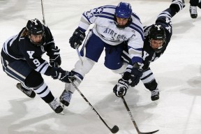 中国篮球场馆运营管理的制度优化建议，篮球馆管理模式