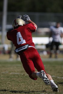 Leyu Sports (乐鱼体育)-原来乔帅带队是这样细！赵继伟都佩服了！，乔帅个人资料