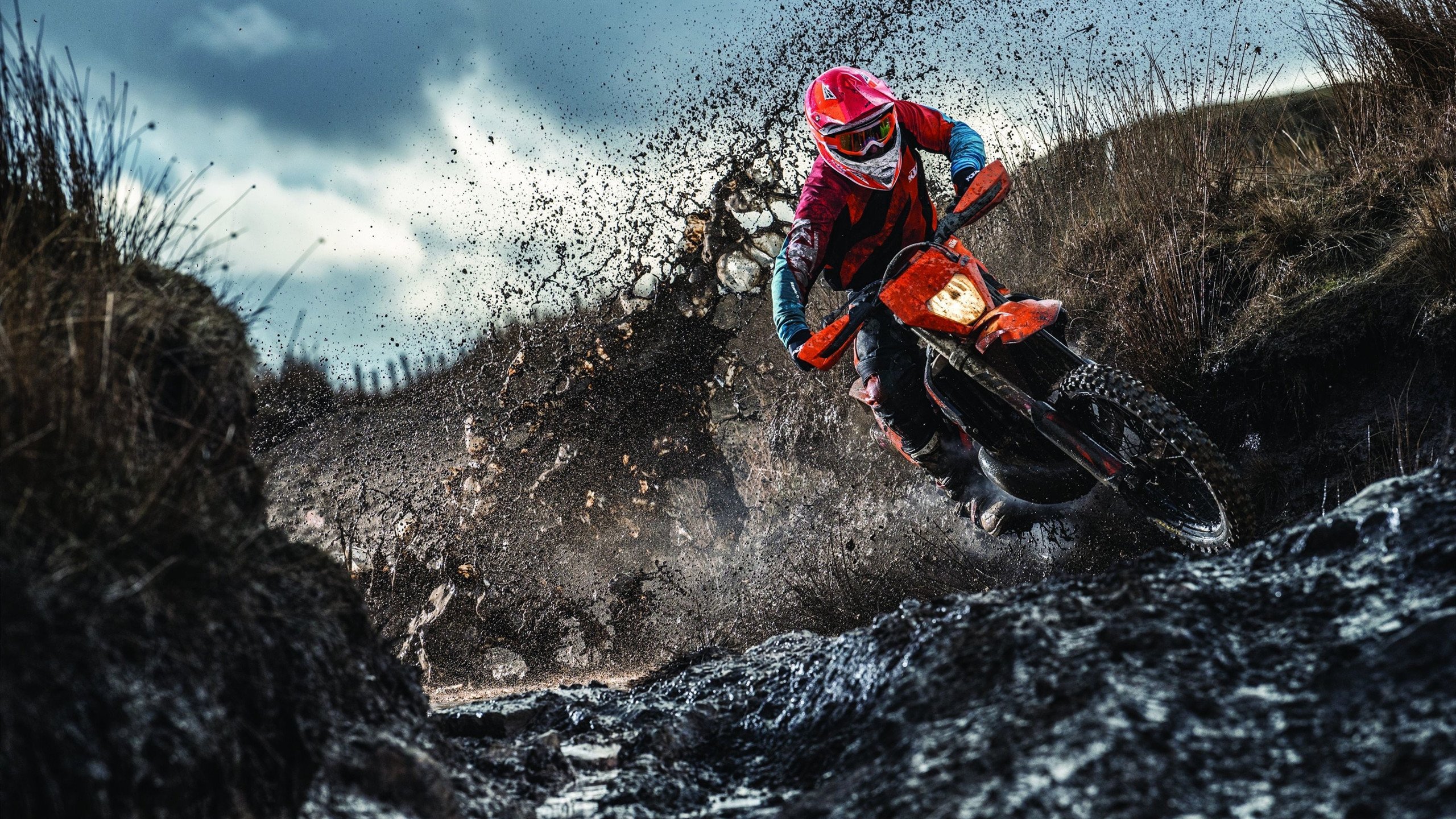 曼联欧冠前景广阔，哈兰德与福登的默契令人期待，欧冠 哈兰德